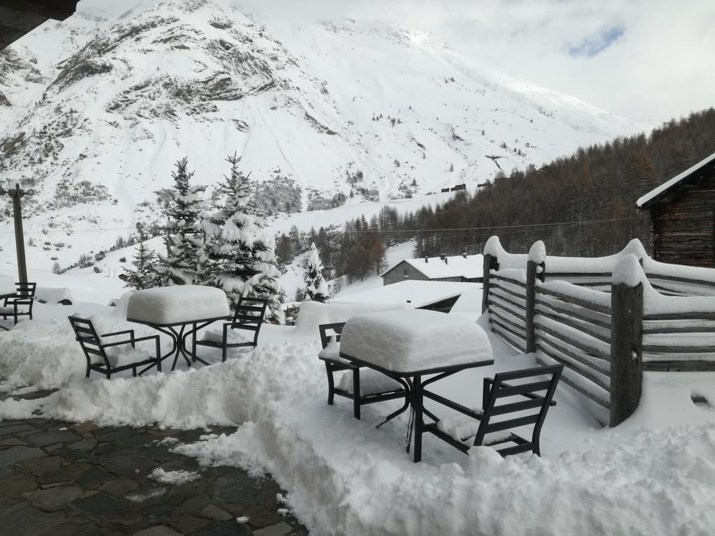 Bait De Angial Livigno